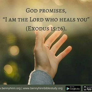 Meet your Posher, Shine